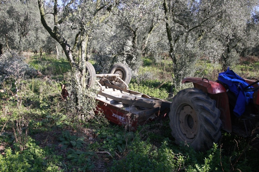 Hayata 29 gün tutunabildi 