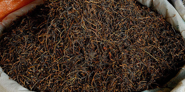 Hayati uyarıyı yaptılar! Saplarını sakın atmayın, vücutta ödem bırakmıyor