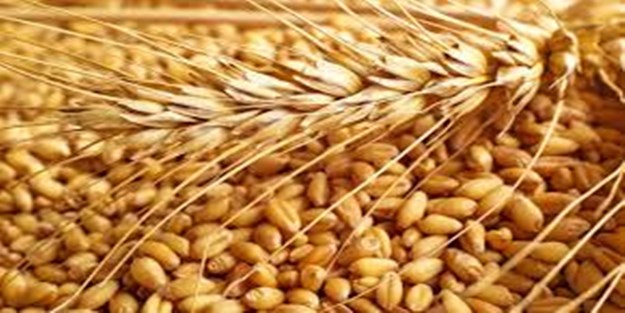 Hayâtımızı ve rızkımızı bereketlendiren 10 şey