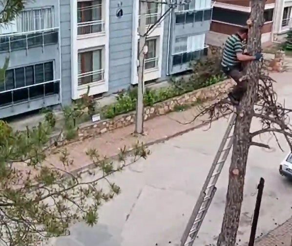 Hayatını adeta yok saydı! Hiçbir önlem almadı