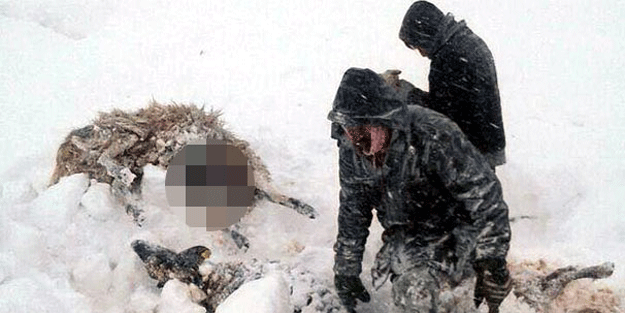 Hayatının şokunu yaşadı! Çok uğraştı ama kurtaramadı…