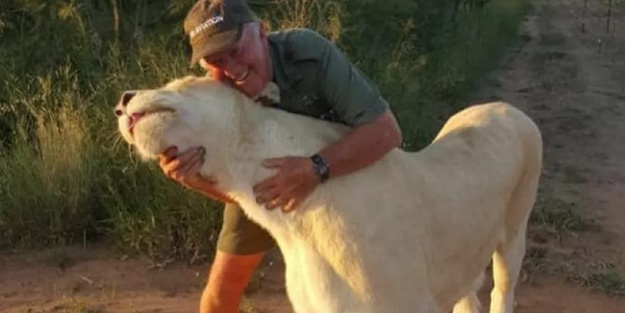 Hayatlarını kurtaran sahibini parçaladılar!