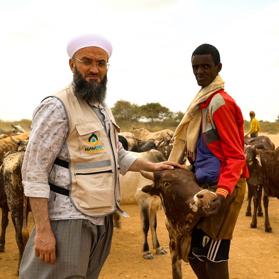 HAYDER, Kurban Bayramı’nda 3 Kıta 15 Ülkede Kurban Kesiyor