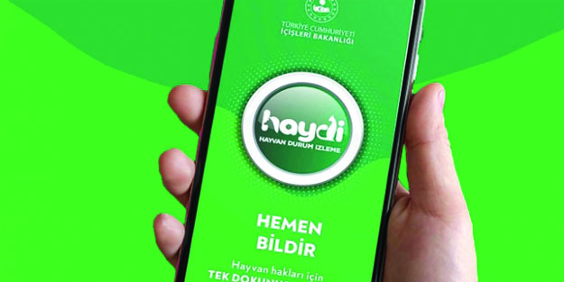 HAYDİ uygulaması ne işe yarar? HAYDİ uygulaması nedir?