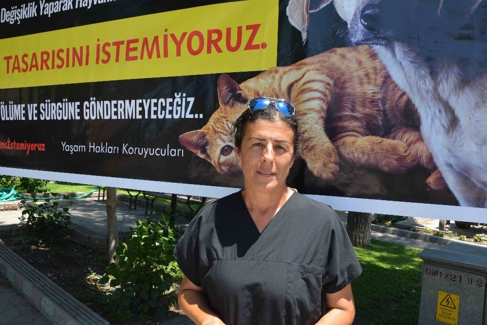 HAYDOS Başkanı Dağdelen uyardı; “600’e yakın köpek sokakta kalır” 