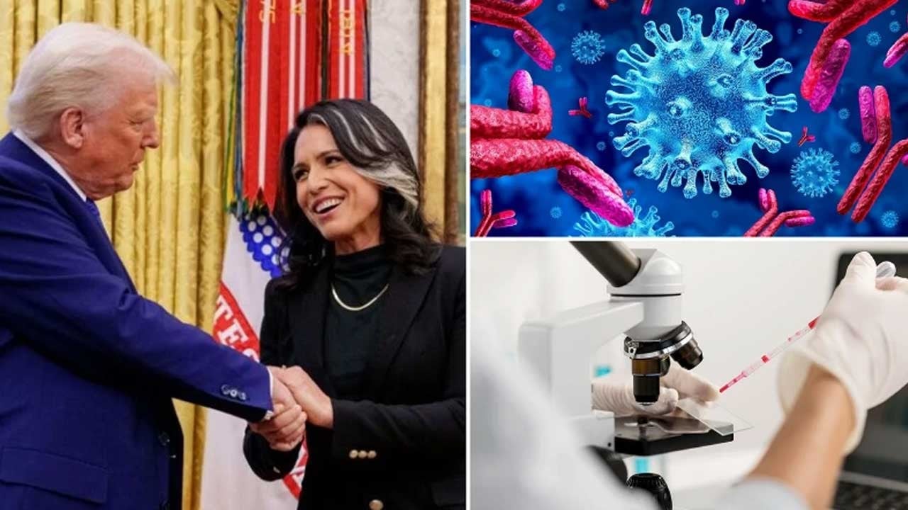 Haydut Amerika'nın 'örtbas edilen' laboratuvarlarını açıkladı