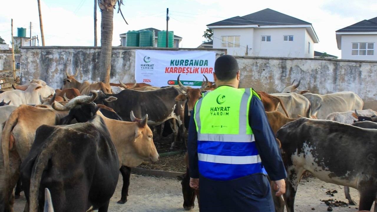 Hayrat Yardım bu kurbanda 30'dan fazla ülkede faaliyet gerçekleştirecek