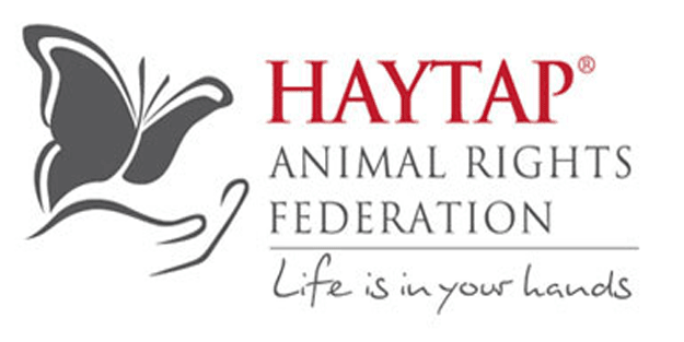 Haytap’dan akla ziyan anket!