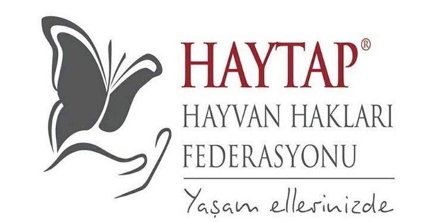 HAYTAP'tan skandal çağrı! Köpekler için fitre ve zekat istediler