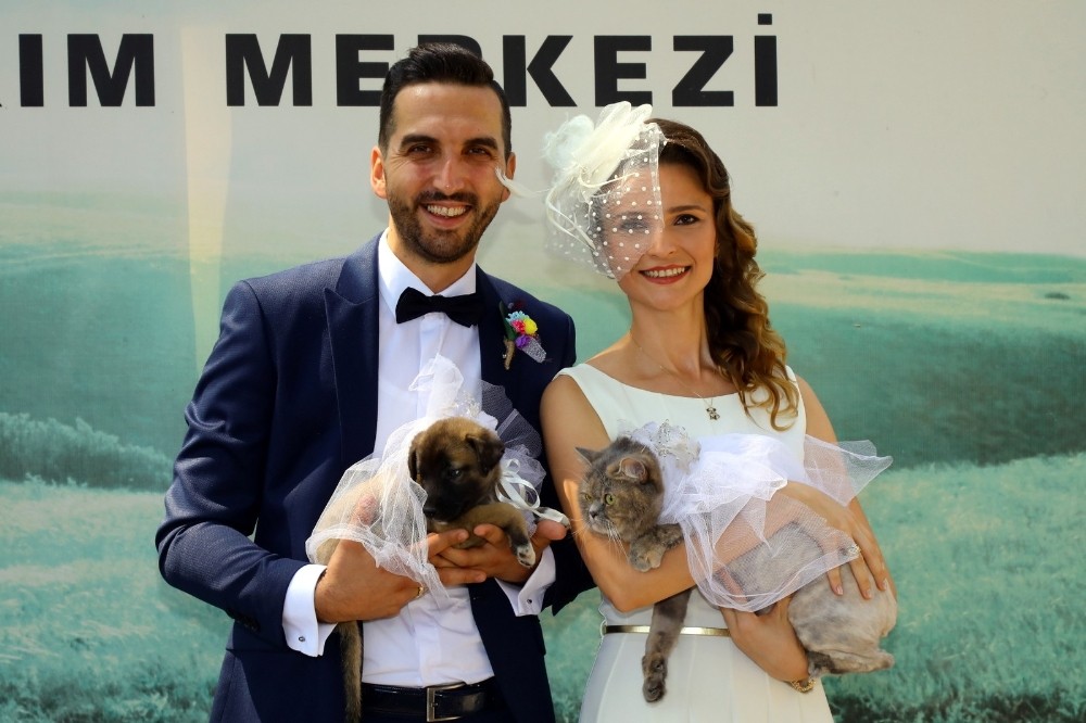Hayvan barınağında ’Evet’ dediler 