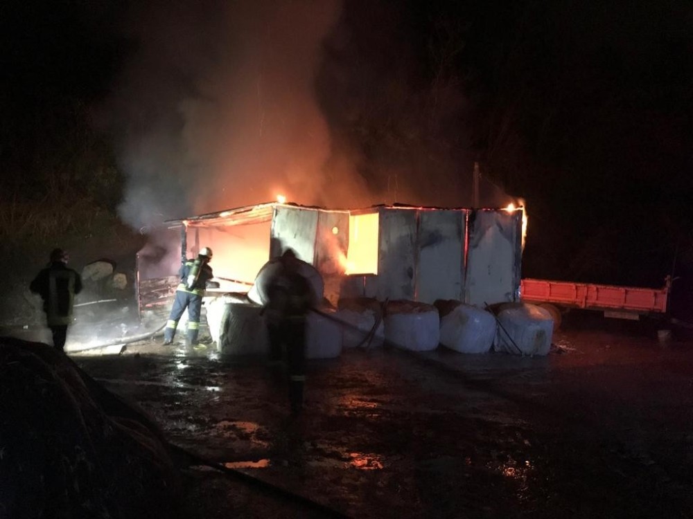 Hayvan çiftliğindeki yangın korkuttu 