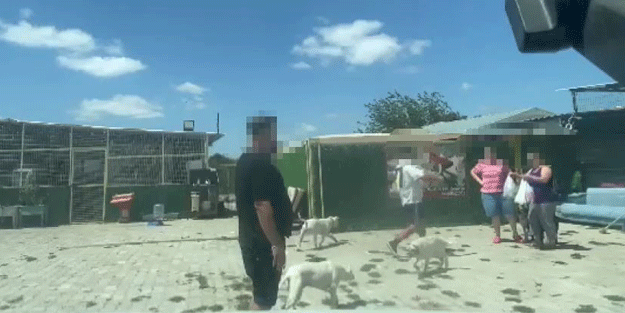 Hayvan derneğinin kirli maskesi düştü