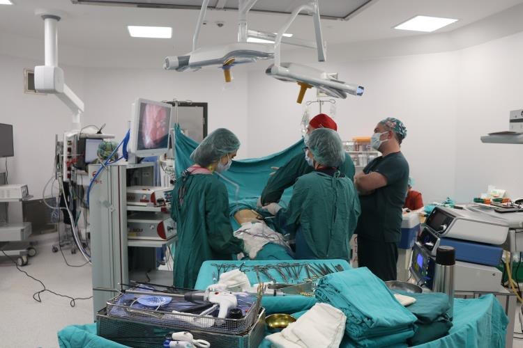 Hayvan dışkısında bulunan parazitler insanları tehdit ediyor