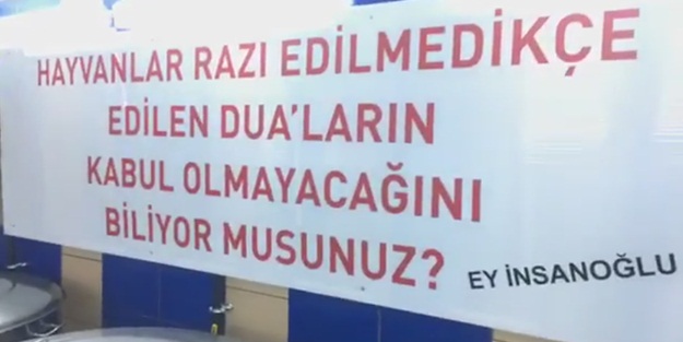 Hayvan dostu iş adamından sitem