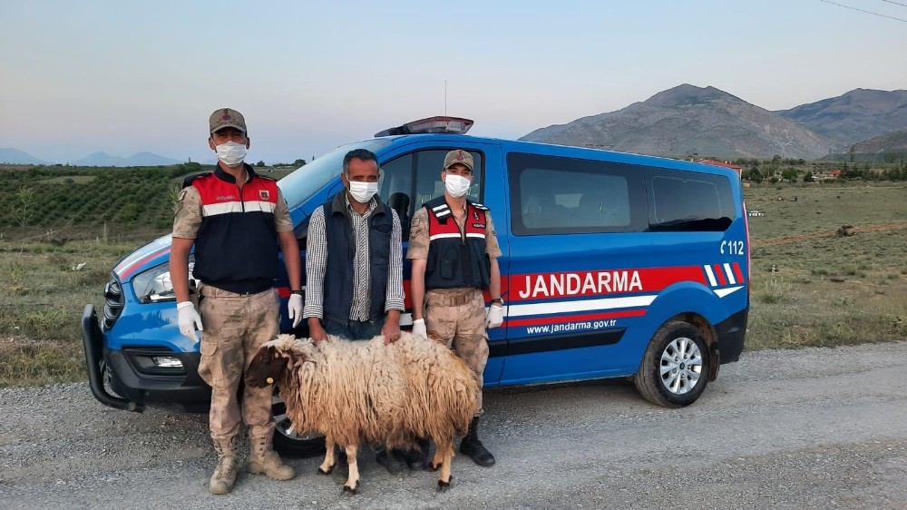Hayvan hırsızlarına suçüstü 