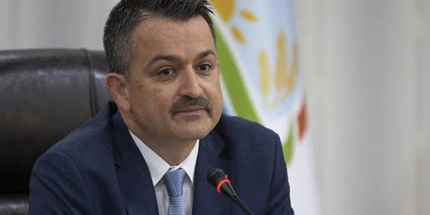 “Hayvan ithalatını sonlandıracağız”