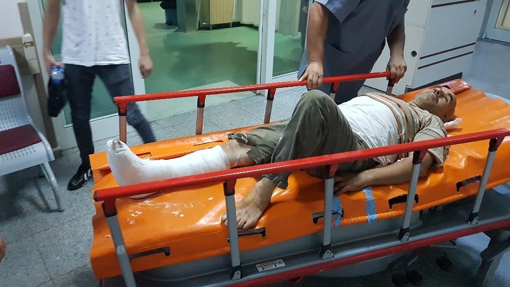 Hayvan otlatan adamı ayının saldırısından köpekler kurtardı 
