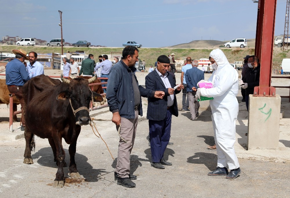 Hayvan pazarı hizmete açıldı 