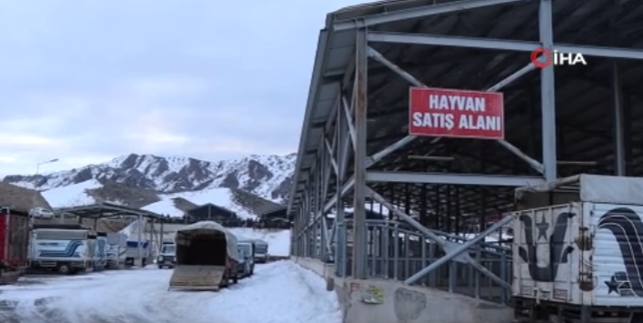 Hayvan pazarı yeniden açıldı!