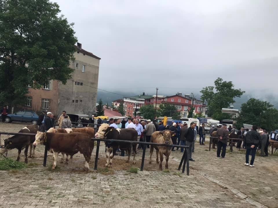 Hayvan pazarında sessiz bekleyiş hakim 