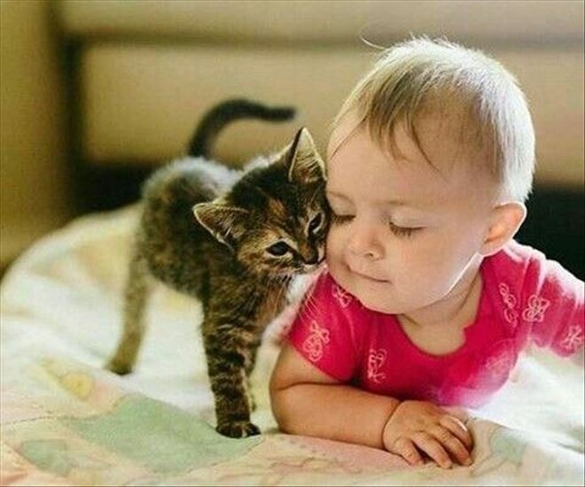 Hayvan sevgisinin çocuklar üzerindeki önemi