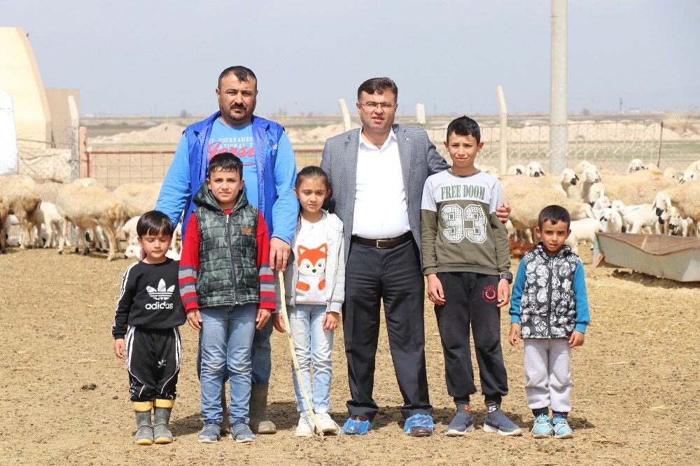 Hayvan üreticileri: “Paramızı kaybedelim, insanlarımızı kaybetmeyelim” 