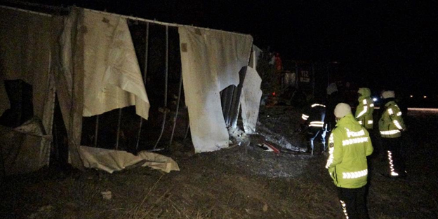 Hayvan yüklü TIR devrildi! Feci kaza