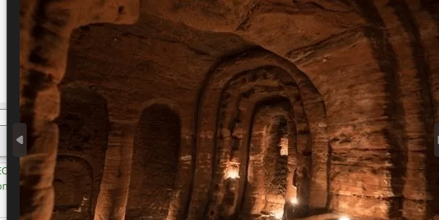 Hayvan yuvası sandığı deliğin ardından çıkanlar tüyler ürpertti! İşte dünyanın konuştuğu o kareler