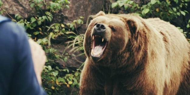 Hayvanat bahçesi çalışanının feci ölümü!