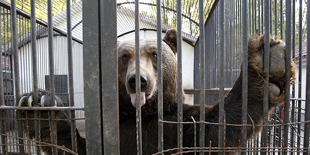 Hayvanat bahçesi Kış'a hazır