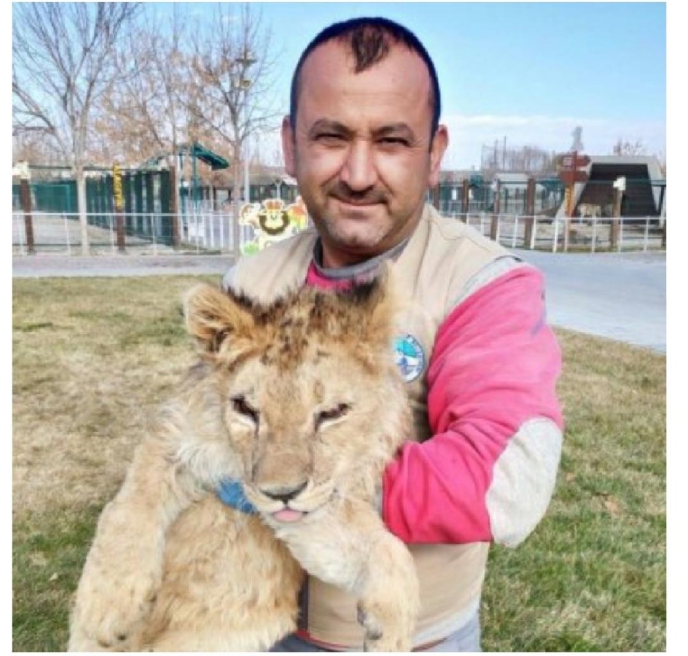 Hayvanat bahçesindeki aslan bakıcısının parmağını kopardı 