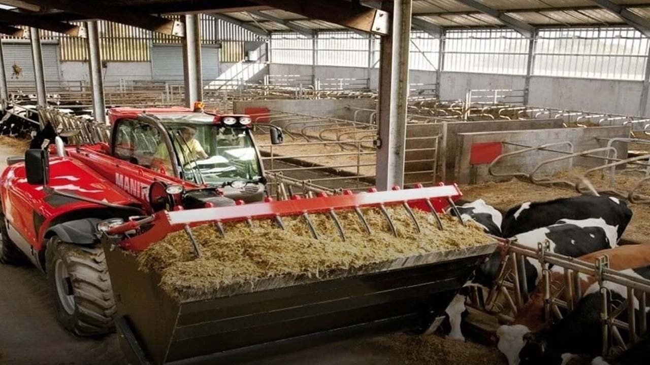 hayvancılık sektörünün devi iflas etti! Tüm Türkiye şok oldu! Çalışanlar işsiz kaldı