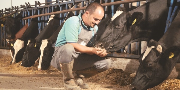 Hayvancılıkta yerli modele destek