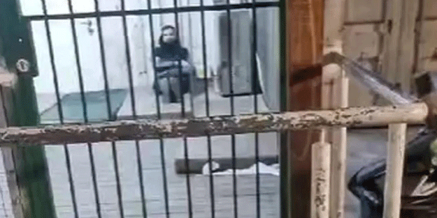 Hayvanlar gibi kafese koyuyorlar!