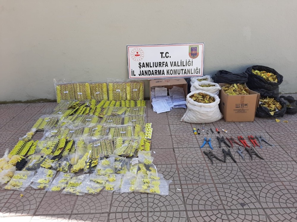 Hayvanlar için sahte kulak küpesi üretenlere operasyon 