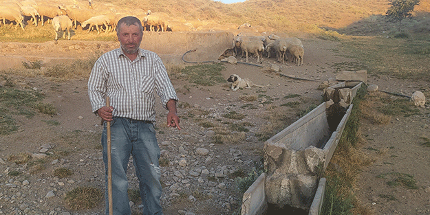 Hayvanlar su içmesin diye… Çobanı şaşkına çeviren vicdansızlık