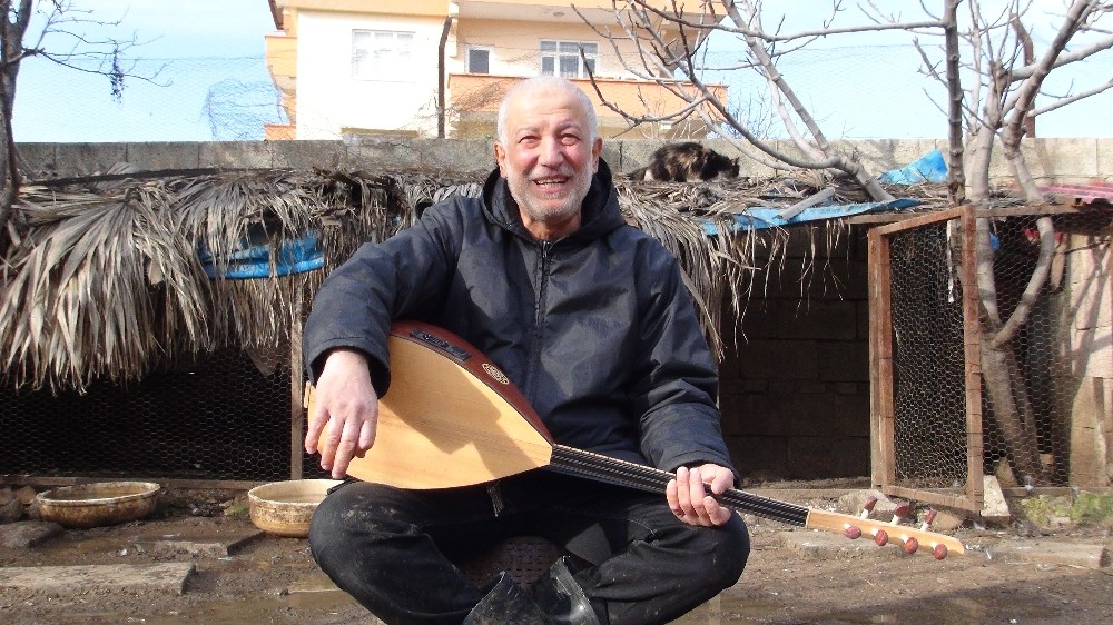 Hayvanlara bağlama konseri 