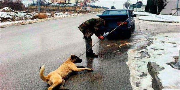 Hayvanlara eziyet İslâm ahlâkına sığmaz