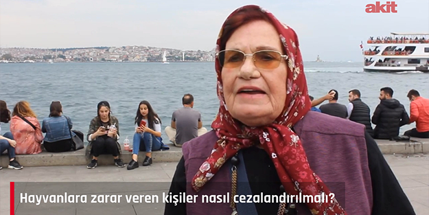 Hayvanlara zarar veren kişiler nasıl cezalandırılmalı?