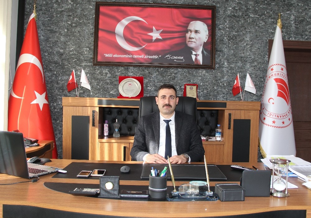 Hayvanlarda İlkbahar Şap ve LSD aşılama programları uygulanıyor 