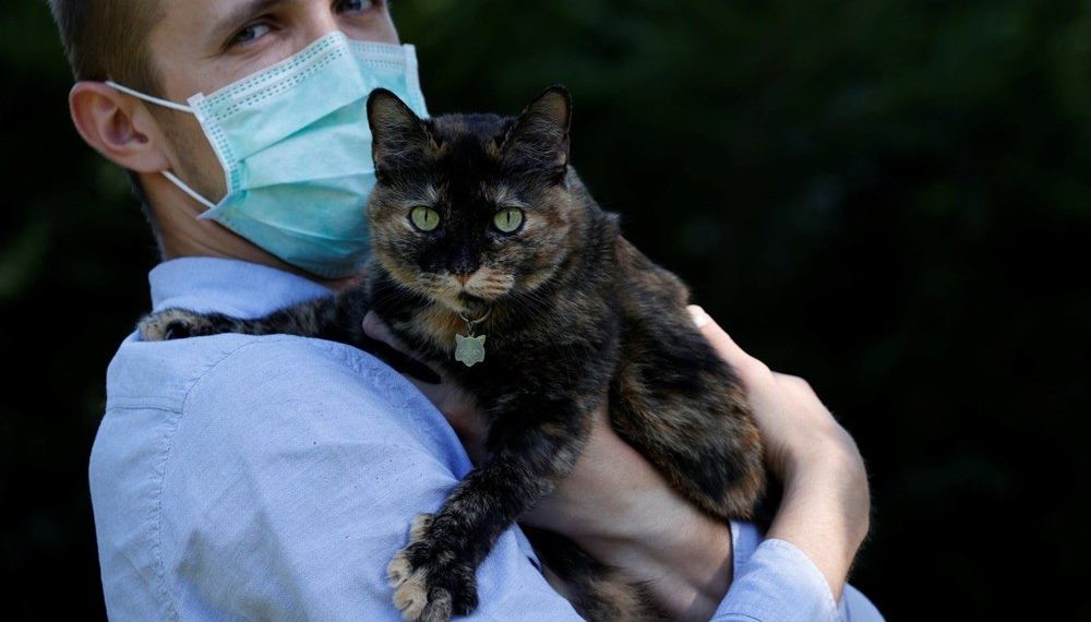 Hayvanlardan virüs bulaşıyor sanıyorduk! Meğer bizden onlara bulaşıyormuş