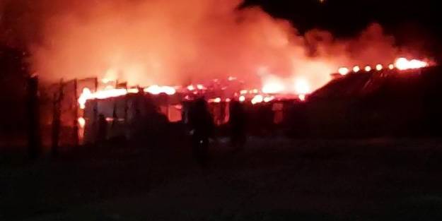 Hayvanların bulunduğu ahır alev alev yandı!