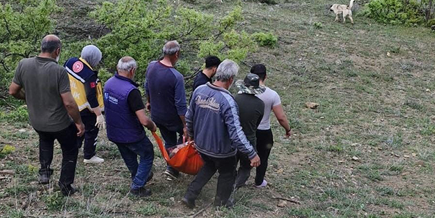 Hayvanlarını otlatırken ayı saldırısına uğradı!