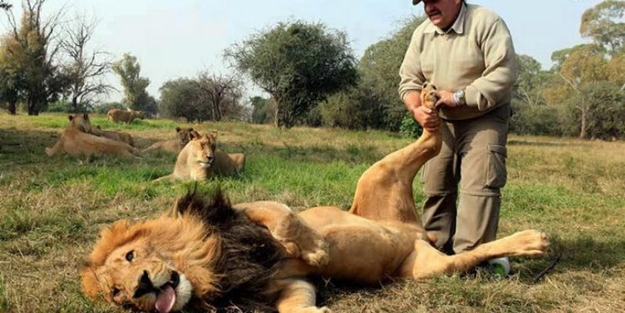 Hayvanlarla insanların tehlikeli yakınlaşması!