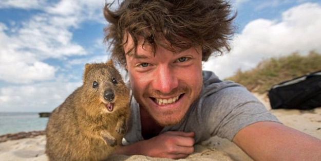 Hayvanlarla selfie çekilen adam