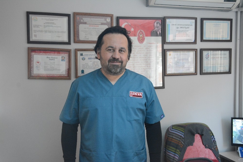 Hayvansal hastalıklar kolayca yayılıyor 