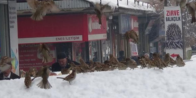 Hayvansever fırıncı, aracını kuşlar için yuva yaptı