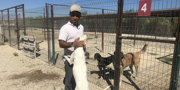 Hayvanseverlerce oluşturulan barınak 170 köpeğe yuva oldu