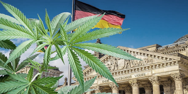 Hazcı-seküler Batı, çöküşe koşuyor: Almanya'da 'eğlence amaçlı' esrar kullanımına onay!