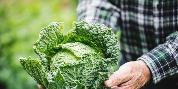 Hazımsızlığın en büyük 3 sebebi! Uzmanlar tarafından teşhis kondu: Dikkat edilmesi istendi!